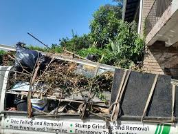 Best Same-Day Junk Removal Services  in Steele, AL